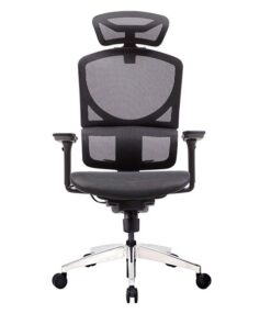 Ghế công thái học Ergonomic GTChair Dvary Isee mini