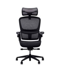 Ghế công thái học Ergonomic Epione Easy Chair SE 2.0
