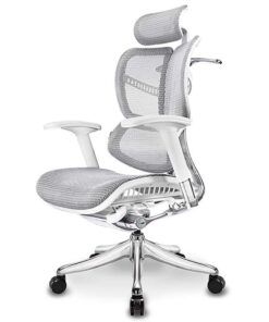 Ghế công thái học Ergonomic Vchair Evolution