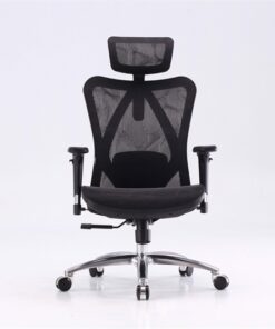 Ghế công thái học Ergonomic Sihoo M57