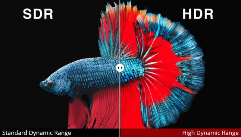 Sự khác biệt giữa HDR và SDR - GEARVN