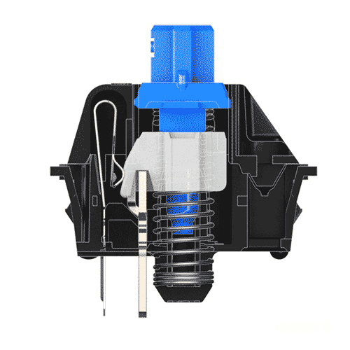 GEARVN - Tại sao blue switch luôn dành cho người mới chơi bàn phím cơ