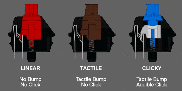GEARVN-phan-biet-clicky-linear-va-tactile-switch