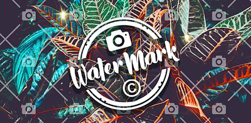 GEARVN Watermark là gì? Hướng dẫn cách chèn watermark vào hình ảnh