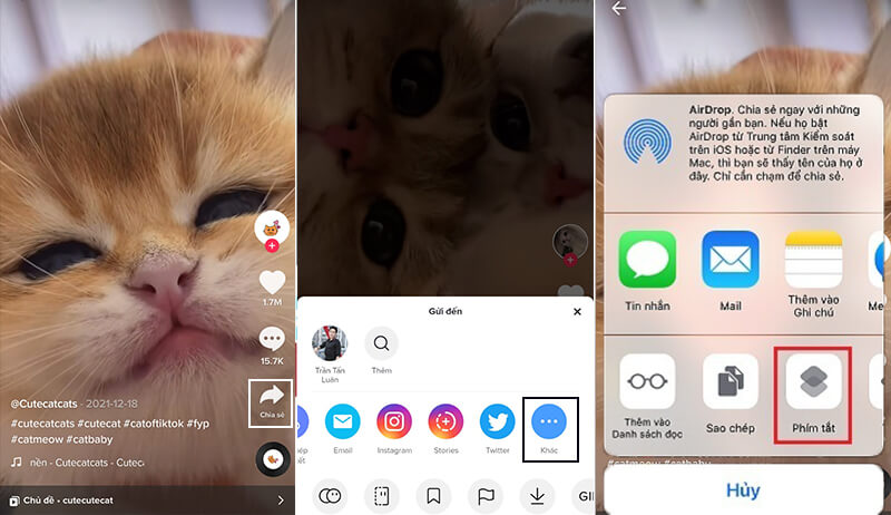 tải video TikTok