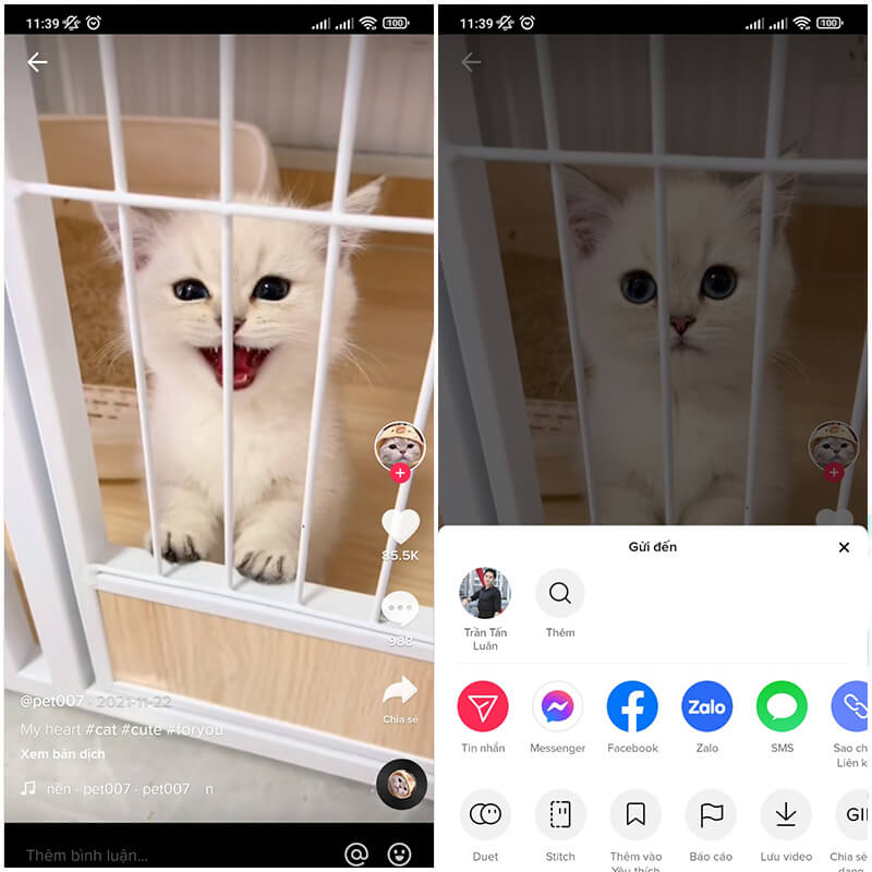 tải video TikTok